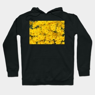 Yellow daisies Hoodie